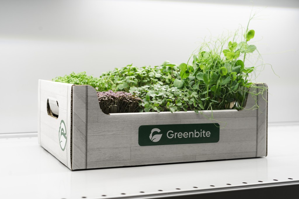 Packaging sostenibile offerto da Greenbite al momento dell'acquisto dei prodotti